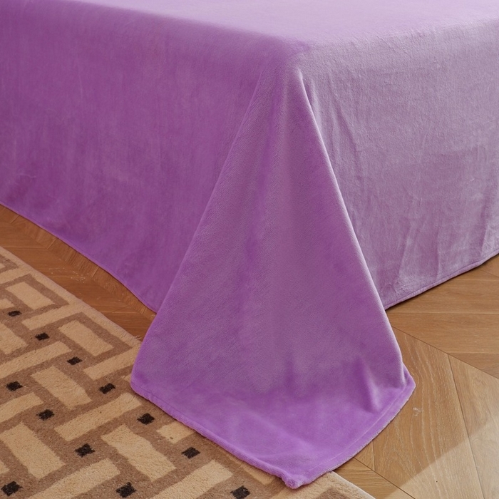 91家纺网 家纺一手货源 找家纺 啊雅家居 2026新款寒冬克星双面绒牛奶绒简约四件套 简紫