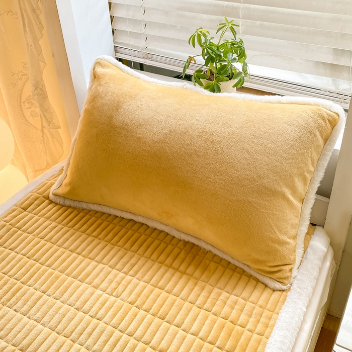 91家纺网 家纺一手货源 找家纺 梦初语 2025新款纯色牛奶绒贴布绣床垫褥冬季加绒加厚防滑学生宿舍 -直播爆款（面料175克-夹棉200克-底布80克防滑滴塑布） 维尼-咖