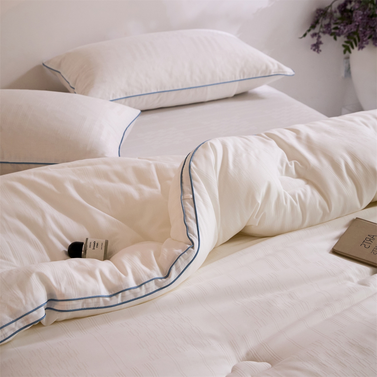 91家纺网 家纺一手货源 找家纺 （总）头等舱 2025新款全棉A类提花德国ADVANSA抗菌 防螨 零致敏秋冬被（空镜图）