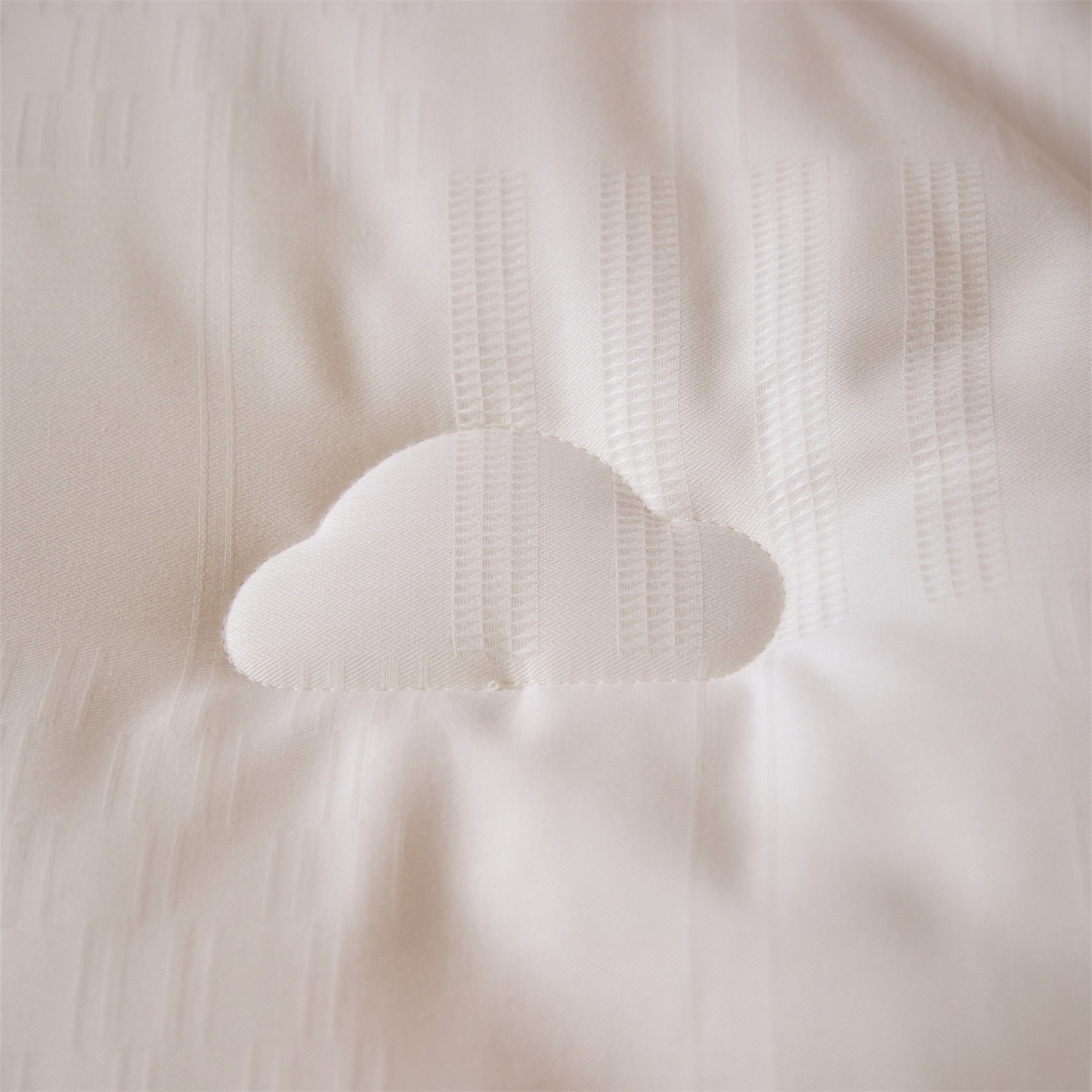 91家纺网 家纺一手货源 找家纺 （总）头等舱 2025新款全棉A类提花德国ADVANSA抗菌 防螨 零致敏秋冬被（空镜图）