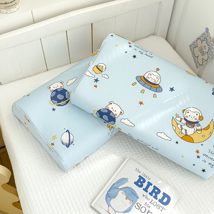 91家纺网 家纺一手货源 找家纺 良佐生活 2025新款铂金棉乳胶枕套 流浪地球