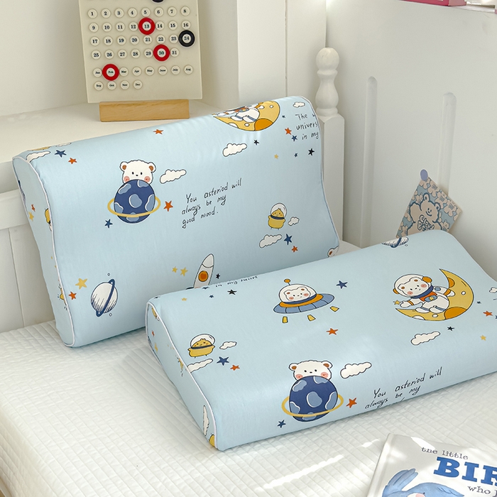 91家纺网 家纺一手货源 找家纺 良佐生活 2025新款铂金棉乳胶枕套 流浪地球