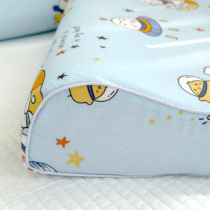 91家纺网 家纺一手货源 找家纺 良佐生活 2025新款铂金棉乳胶枕套 流浪地球