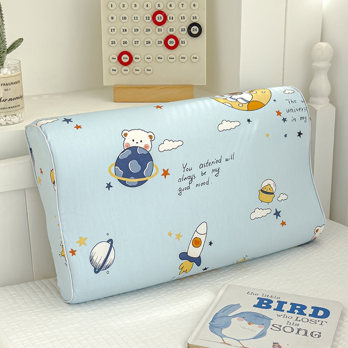 良佐生活 2025新款铂金棉乳胶枕套 流浪地球