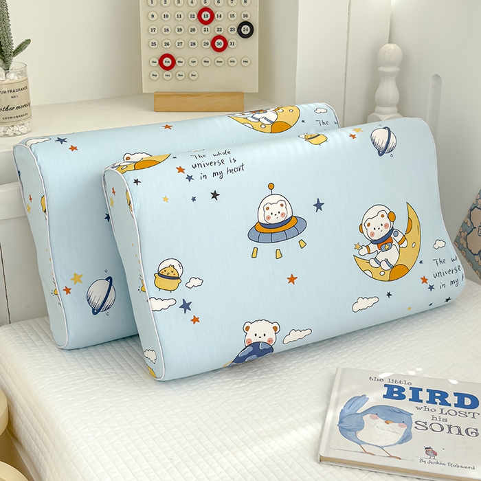 91家纺网 家纺一手货源 找家纺 良佐生活 2025新款铂金棉乳胶枕套 流浪地球