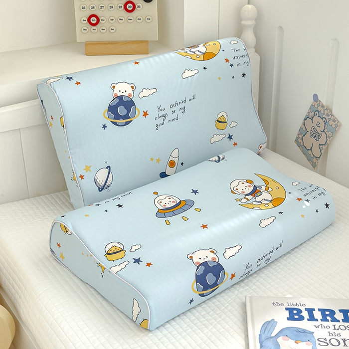 91家纺网 家纺一手货源 找家纺 良佐生活 2025新款铂金棉乳胶枕套 流浪地球