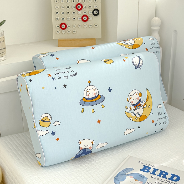 91家纺网 家纺一手货源 找家纺 良佐生活 2025新款铂金棉乳胶枕套 流浪地球