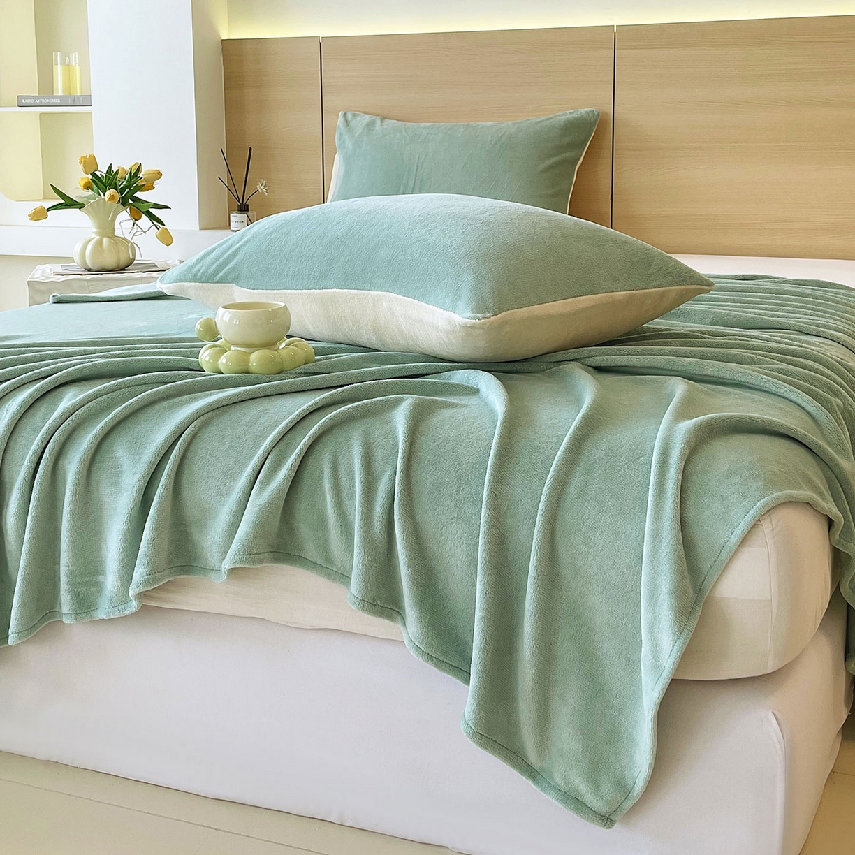 91家纺网 家纺一手货源 找家纺 小懒猪 2025年新款220克A类牛奶绒单床单 浅绿