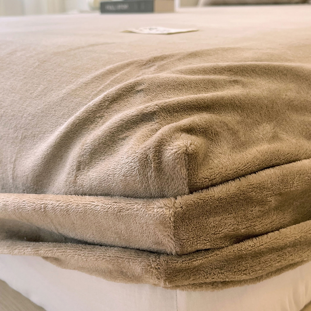 91家纺网 家纺一手货源 找家纺 小懒猪 2025年新款220克A类牛奶绒单床笠 咖色