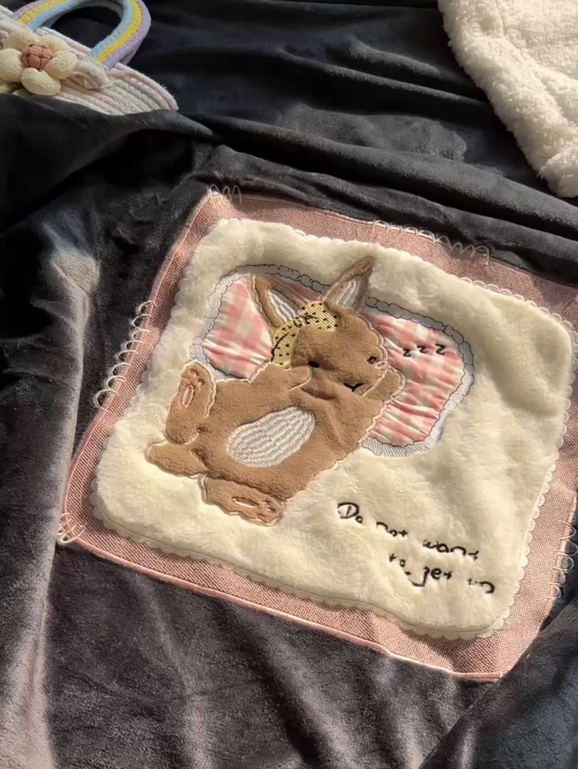91家纺网 家纺一手货源 找家纺 子钦家纺 2025新款秋冬加厚牛奶绒羊羔绒卡通贴布绣包边毛毯（第二波） 睡觉兔-深灰