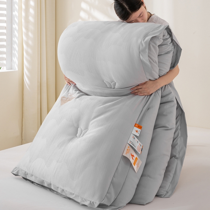 宝士康家纺 2025新款提花蝴蝶刺绣飞边冬被 被子被芯 浅灰