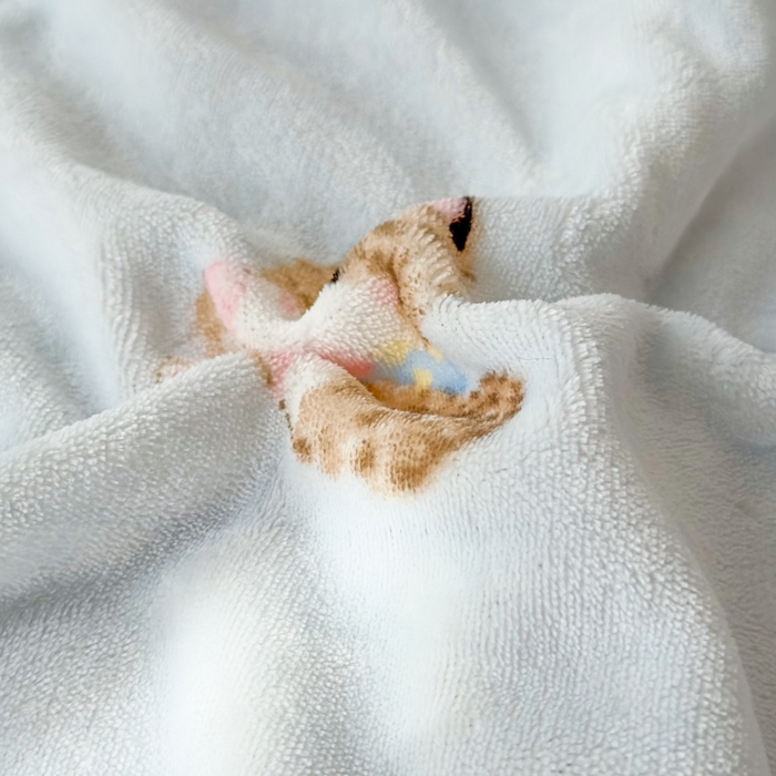 91家纺网 家纺一手货源 找家纺 花满路 2025新款小清新羊羔绒毛毯毯子 雪球咪咪