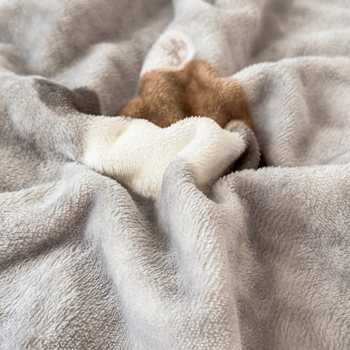 91家纺网 家纺一手货源 找家纺 花满路 2025新款小清新羊羔绒毛毯毯子 蓬蓬小狗