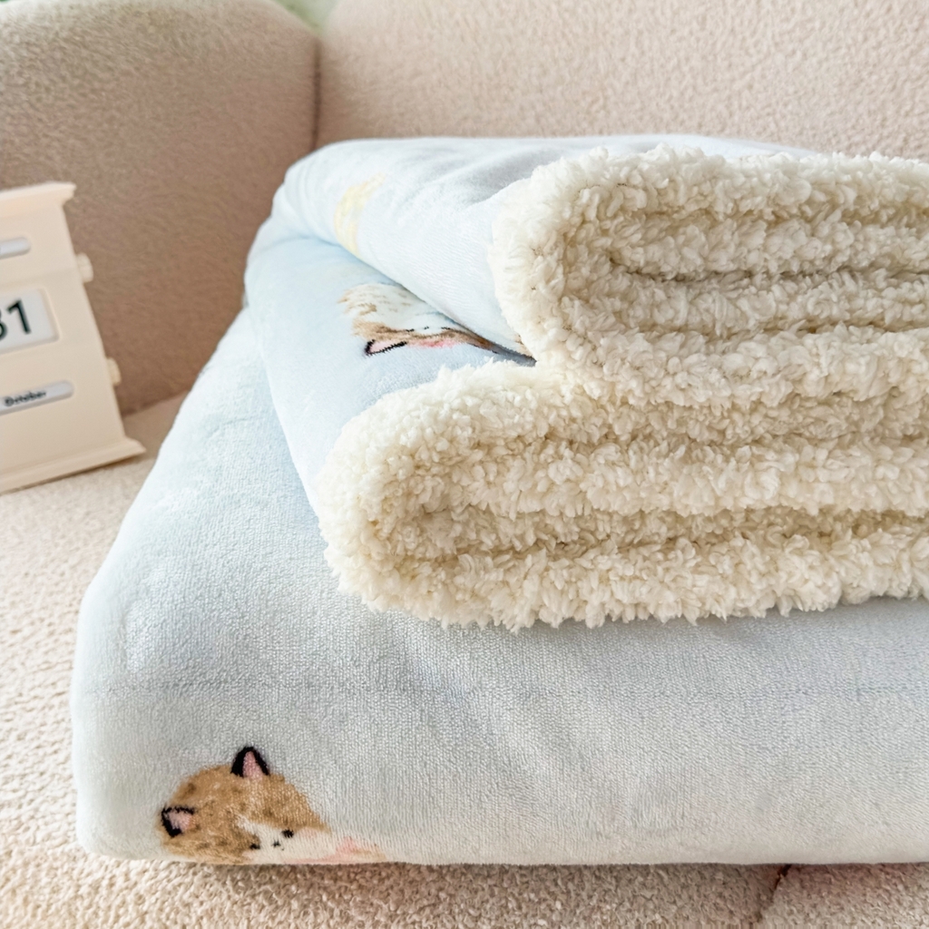 91家纺网 家纺一手货源 找家纺 花满路 2025新款小清新羊羔绒毛毯毯子 雪球咪咪