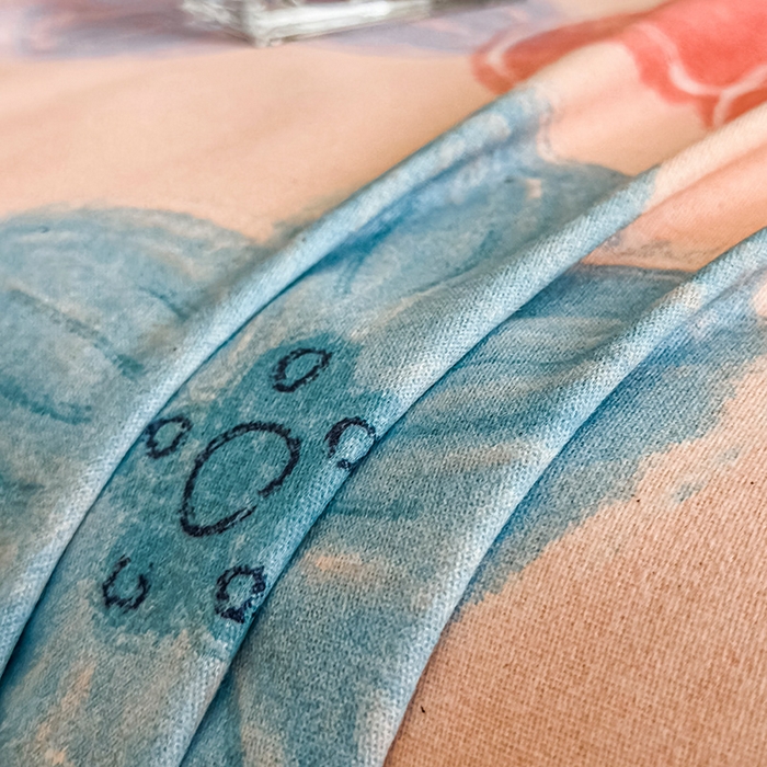 91家纺网 家纺一手货源 找家纺 丝芙妮家居（原乐视家纺） 2025新款全棉磨毛多规格单品床单 花晓