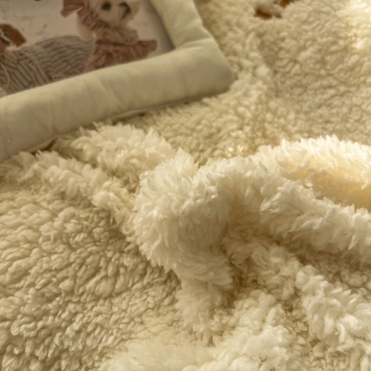 91家纺网 家纺一手货源 找家纺 颜选 2025新款卡通羊羔绒四件套 小女孩