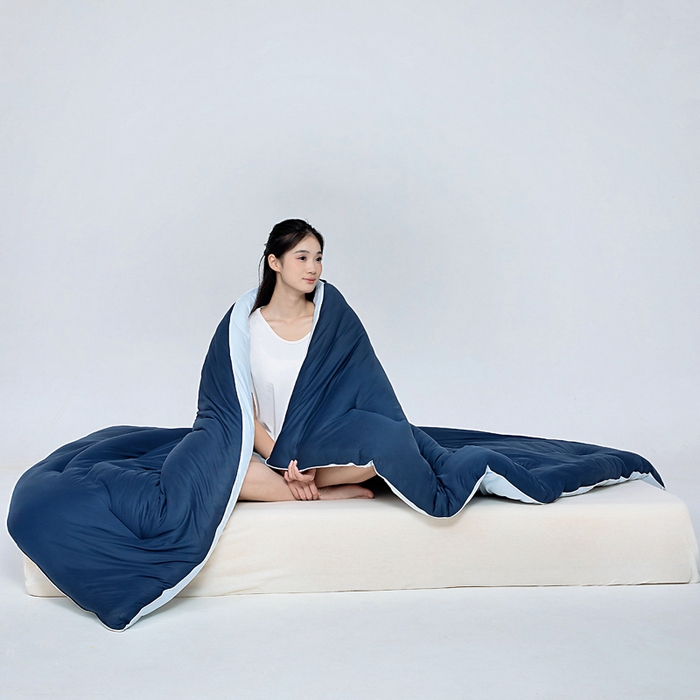 栩裕纺织 2025新款A类亲肤深睡眠控温抑菌被芯被子被芯春秋被冬被 深睡蓝