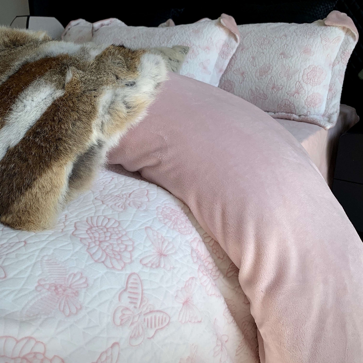 91家纺网 家纺一手货源 找家纺 莱豫家纺 2025秋冬新款加厚牛奶绒韩国雕花绒不静电不掉毛 蝴蝶之恋粉