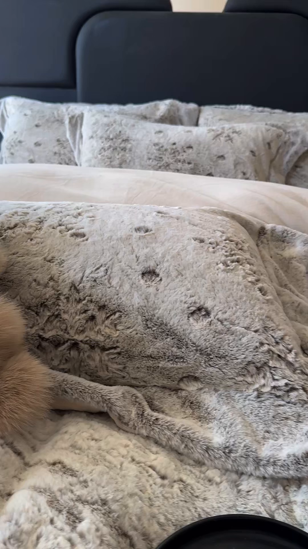 91家纺网 家纺一手货源 找家纺 丞音家纺 2025秋冬新款A类轻奢皮草绒加厚水貂绒保暖牛奶绒床上用品珊瑚绒四件套床单被套 路易斯-深咖色