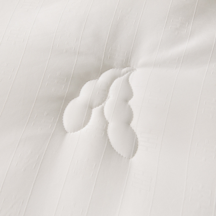 91家纺网 家纺一手货源 找家纺 （总）置顶家纺 2024新款贡缎提花大豆纤维被子被芯--棚拍图