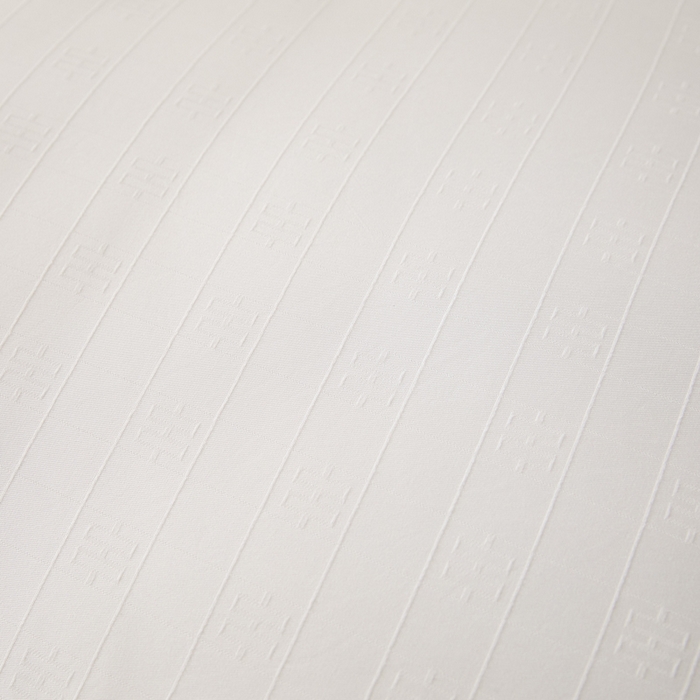 91家纺网 家纺一手货源 找家纺 置顶家纺 2024新款贡缎提花大豆纤维被子被芯--棚拍图 串串格-大气白色