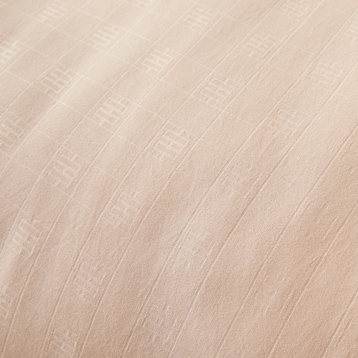 91家纺网 家纺一手货源 找家纺 置顶家纺 2024新款贡缎提花大豆纤维被子被芯--棚拍图 串串格-温馨玉色