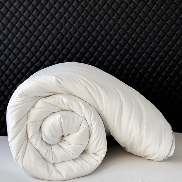 91家纺网 家纺一手货源 找家纺 置顶家纺 2024新款贡缎提花大豆纤维被子被芯--实拍图 串串格-大气白色