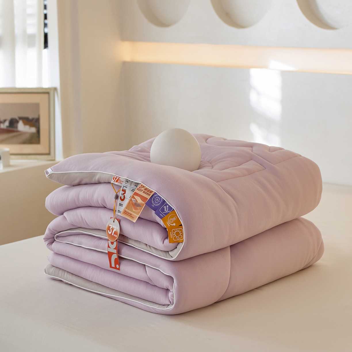 91家纺网 家纺一手货源 找家纺 （总）安莱生活 2025新品37度恒温被被子被芯-风格一