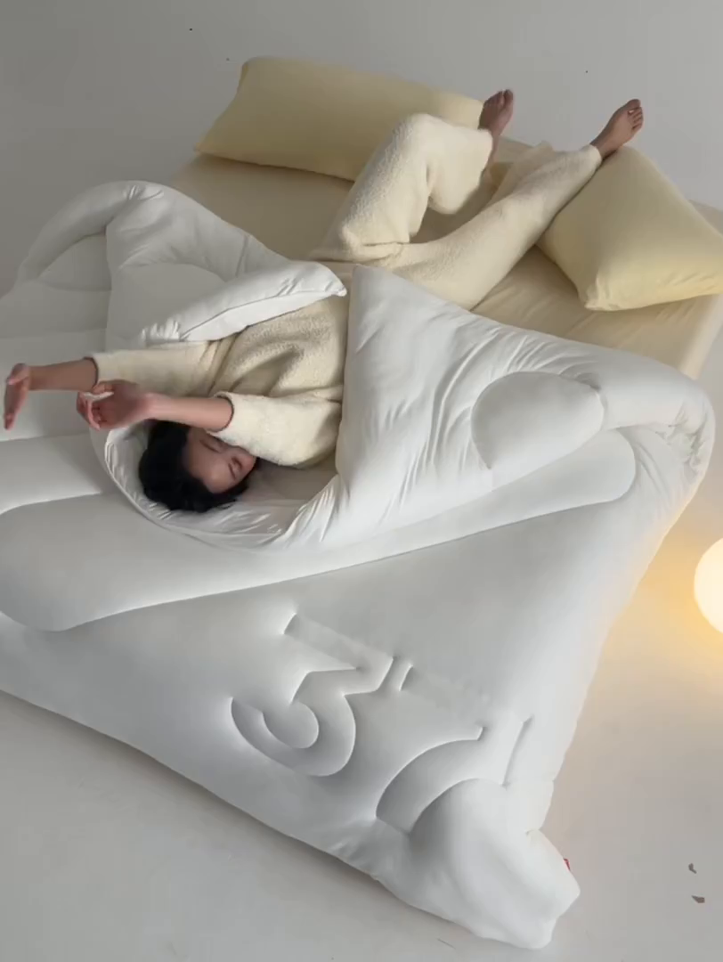 91家纺网 家纺一手货源 找家纺 （总）安莱生活 2025新品37度恒温被被子被芯-风格二