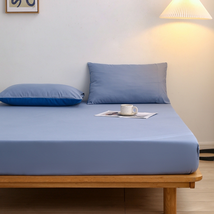 91家纺网 家纺一手货源 找家纺 啊雅家居 2025（外贸）新款简约单人床笠双人床笠水洗磨毛床笠跨境电商 浅蓝灰