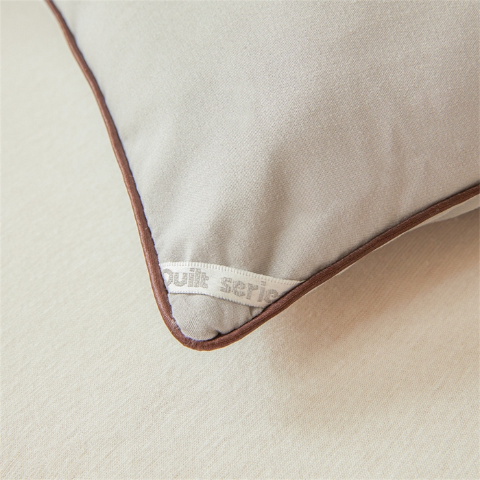 91家纺网 家纺一手货源 找家纺 雅颂缘 2025新款立体大豆纤维被加厚冬被春秋被子被芯大豆被灰色