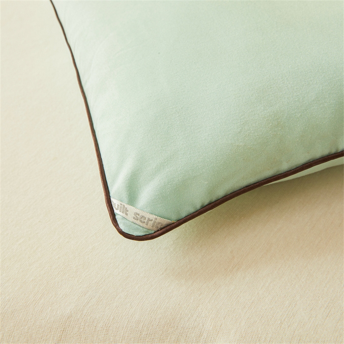 91家纺网 家纺一手货源 找家纺 雅颂缘 2025新款立体大豆纤维被加厚冬被春秋被子被芯大豆被水绿