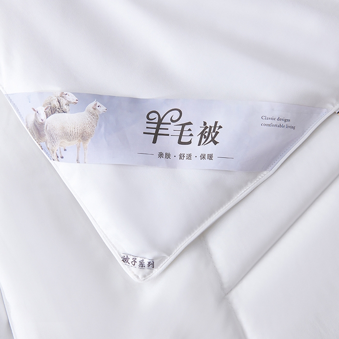 91家纺网 家纺一手货源 找家纺 （总）船王家纺 2025新款羊毛被