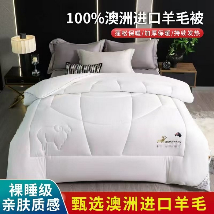 91家纺网 家纺一手货源 找家纺 （总）船王家纺 2025新款羊毛被