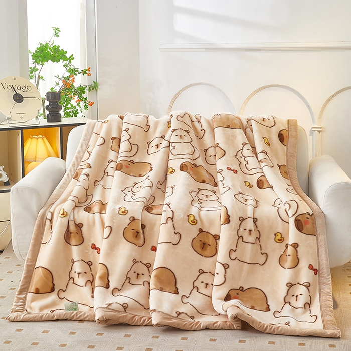 91家纺网 家纺一手货源 找家纺 （总）丹兰 双层加厚拉舍尔毛毯牛奶绒毯子结婚盖毯法兰绒垫毯