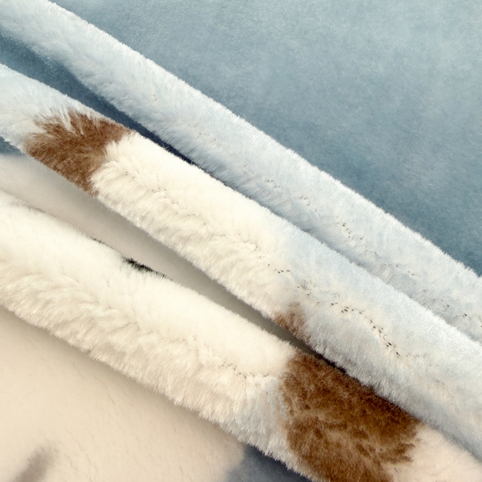 91家纺网 家纺一手货源 找家纺 丹兰 双层加厚拉舍尔毛毯牛奶绒毯子结婚盖毯法兰绒垫毯新版 75蓝色波比