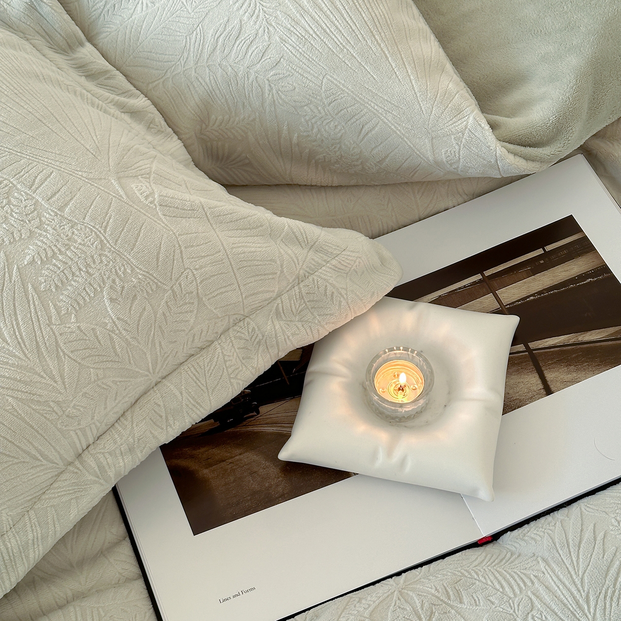 91家纺网 家纺一手货源 找家纺 凯罗 2025新款花卉系列高克重牛奶绒雕花四件套 丛林秘境-萌萌绿