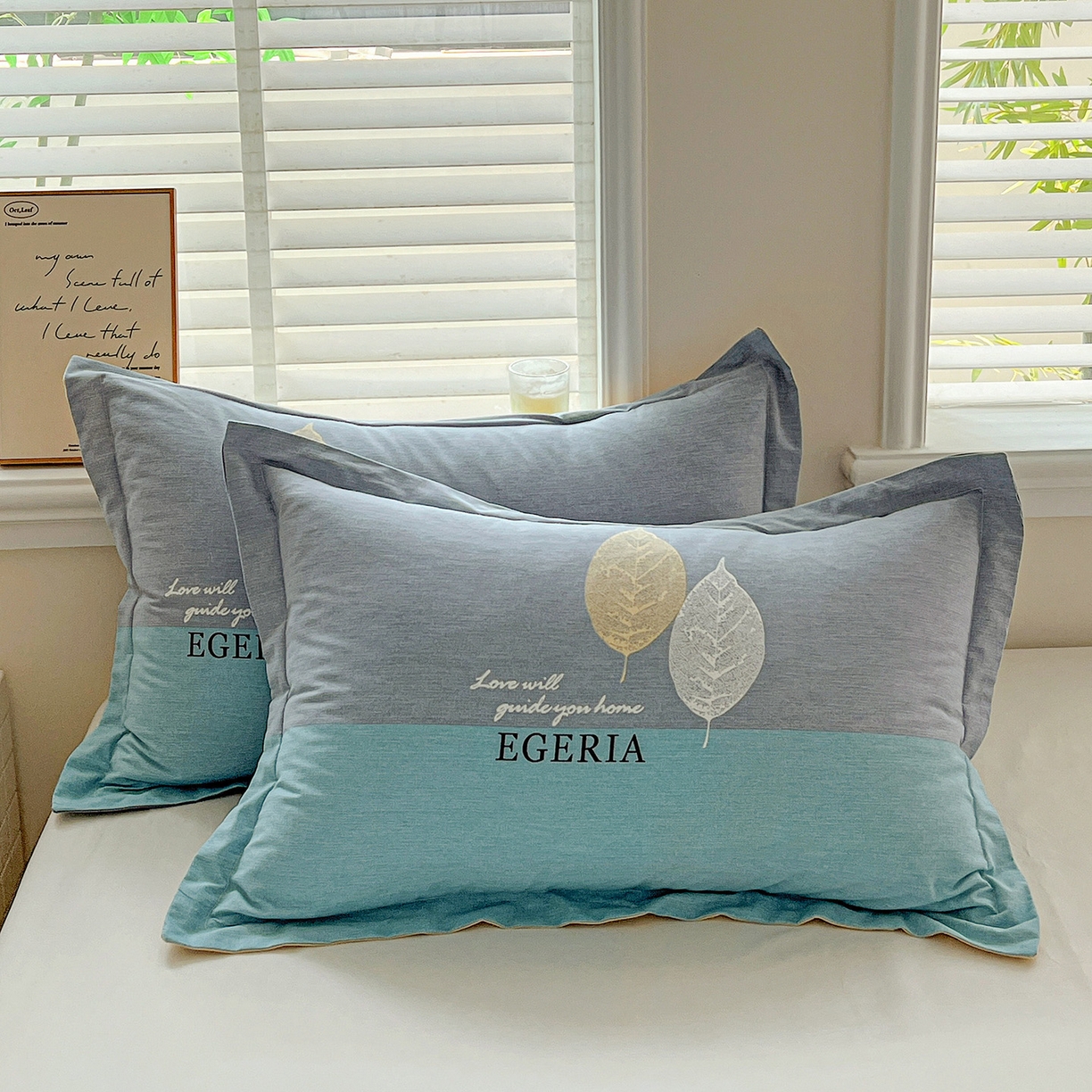 依庭 2025新款高克重全棉纯棉磨毛印花单枕套 尼彩