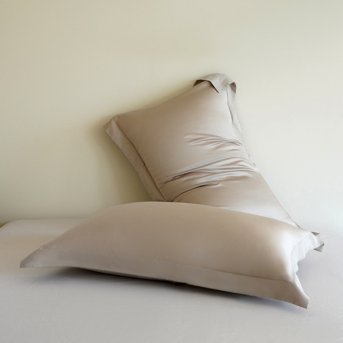 91家纺网 家纺一手货源 找家纺 凯森家纺 兰精天丝枕套一对100%莱赛尔枕头套凉感天丝枕芯套夏季冰丝整套48x74cm丝滑裸睡 100%莱赛尔天丝-椰子灰