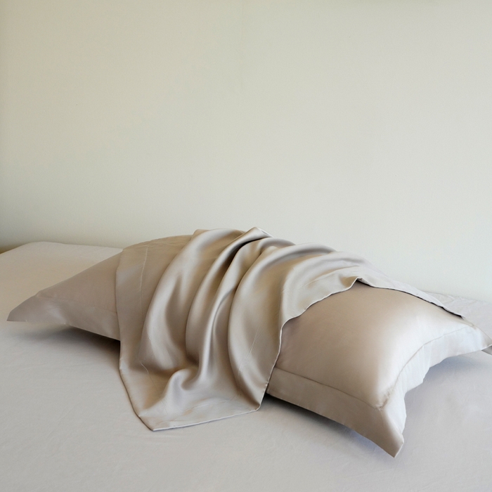 91家纺网 家纺一手货源 找家纺 凯森家纺 兰精天丝枕套一对100%莱赛尔枕头套凉感天丝枕芯套夏季冰丝整套48x74cm丝滑裸睡 100%莱赛尔天丝-椰子灰