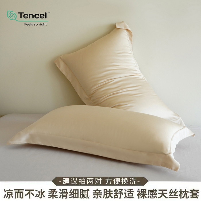 91家纺网 家纺一手货源 找家纺 凯森家纺 兰精天丝枕套一对100%莱赛尔枕头套凉感天丝枕芯套夏季冰丝整套48x74cm丝滑裸睡 100%莱赛尔天丝-珍珠白