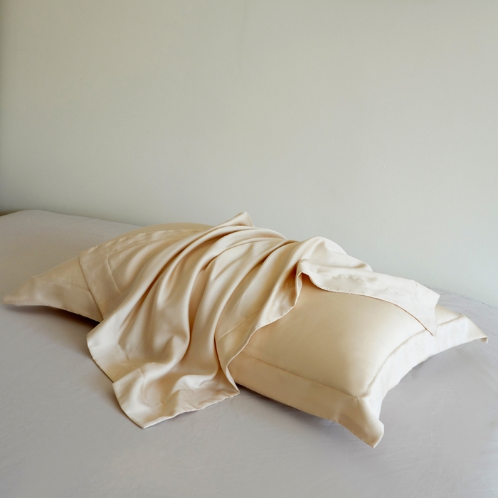 91家纺网 家纺一手货源 找家纺 凯森家纺 兰精天丝枕套一对100%莱赛尔枕头套凉感天丝枕芯套夏季冰丝整套48x74cm丝滑裸睡 100%莱赛尔天丝-珍珠白