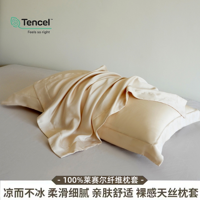 91家纺网 家纺一手货源 找家纺 凯森家纺 兰精天丝枕套一对100%莱赛尔枕头套凉感天丝枕芯套夏季冰丝整套48x74cm丝滑裸睡 100%莱赛尔天丝-珍珠白