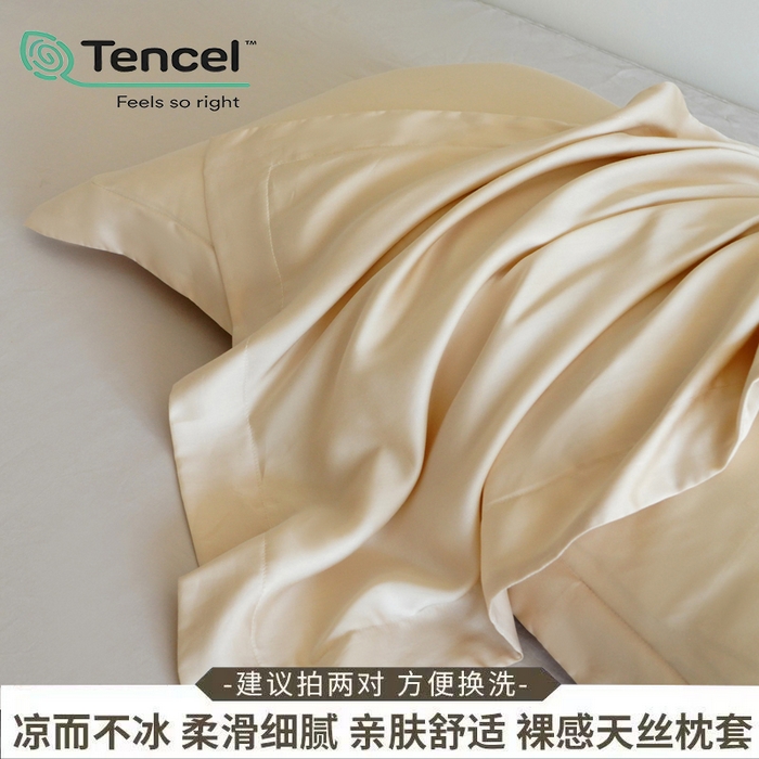 91家纺网 家纺一手货源 找家纺 凯森家纺 兰精天丝枕套一对100%莱赛尔枕头套凉感天丝枕芯套夏季冰丝整套48x74cm丝滑裸睡 100%莱赛尔天丝-珍珠白