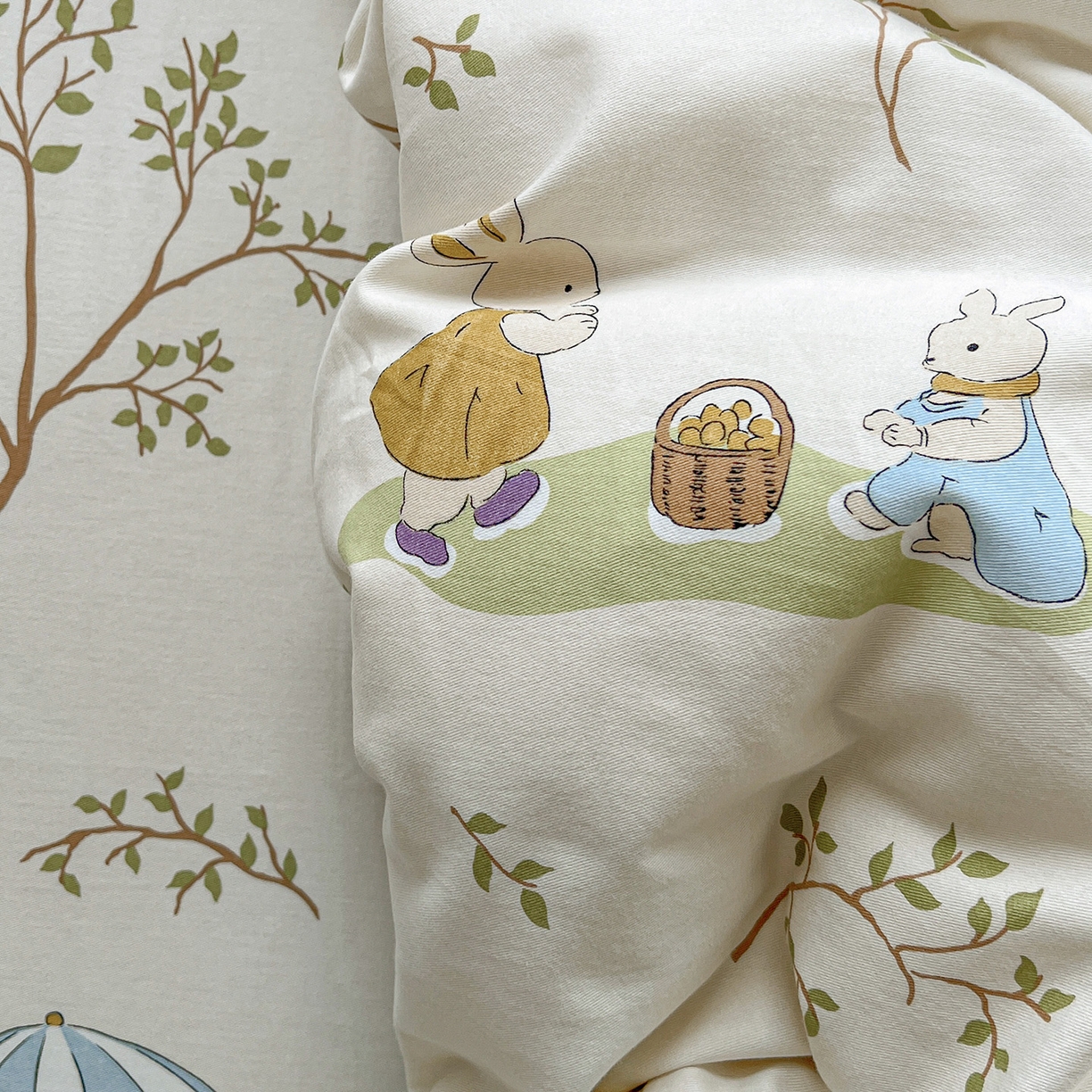 91家纺网 家纺一手货源 找家纺 依庭 2025新款高克重全棉纯棉磨毛印花单被套 彼得兔