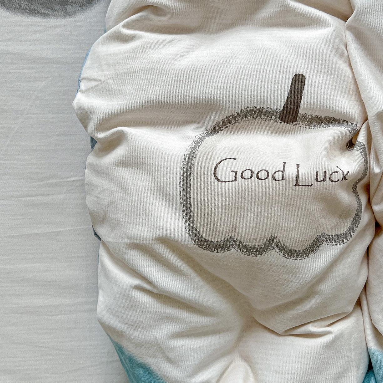 91家纺网 家纺一手货源 找家纺 依庭 2025新款高克重全棉纯棉磨毛印花单被套 南瓜熊