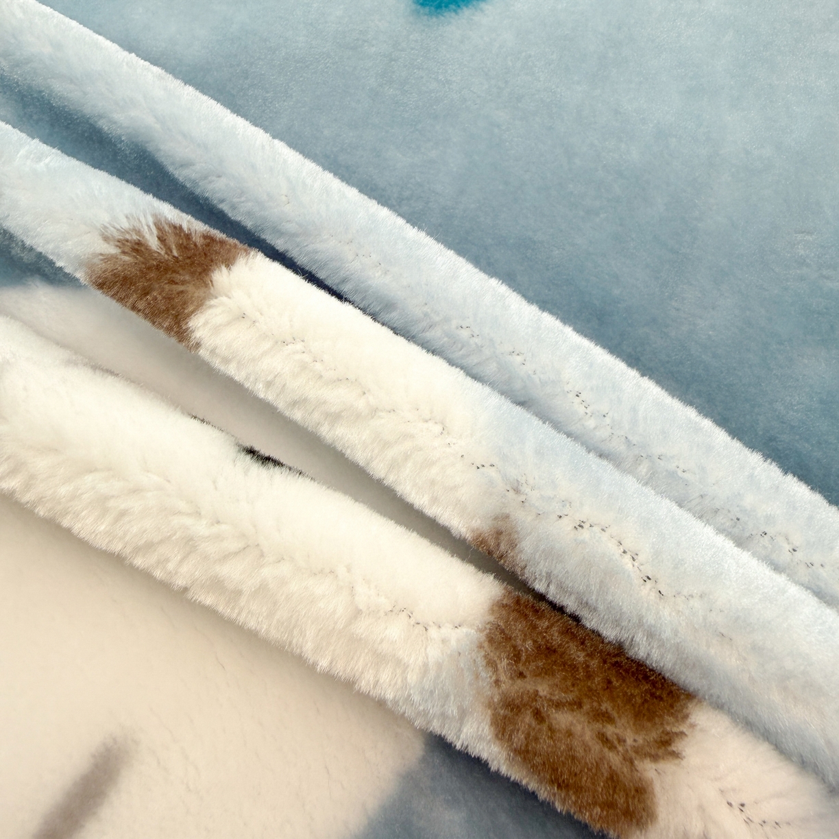 91家纺网 家纺一手货源 找家纺 丹兰 2025新款大版拉舍尔毛毯 新版 75#蓝色波比