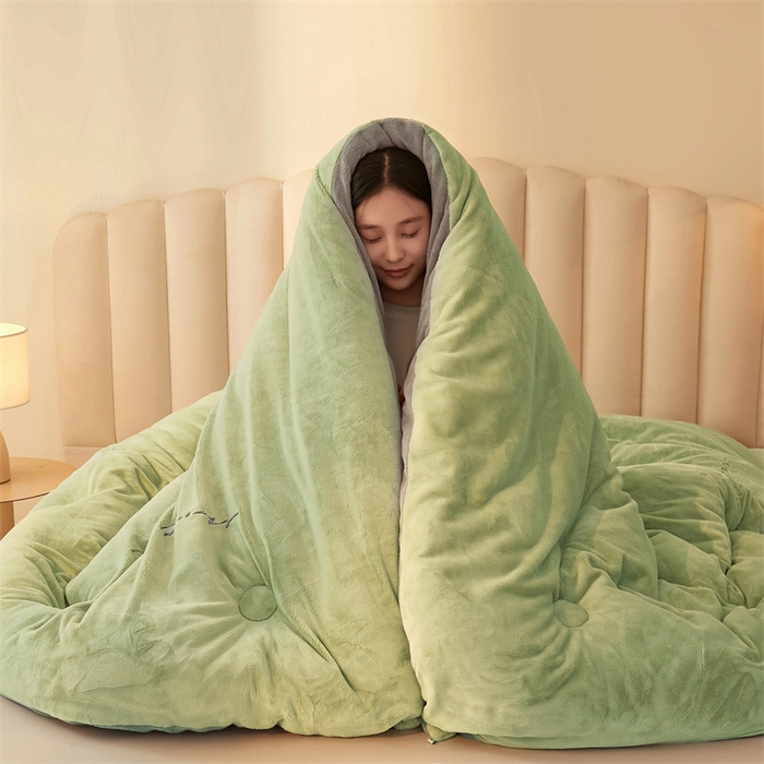 91家纺网 家纺一手货源 找家纺 美梦里 2025新款拼色牛奶绒绣花冬被被子被芯 绿灰