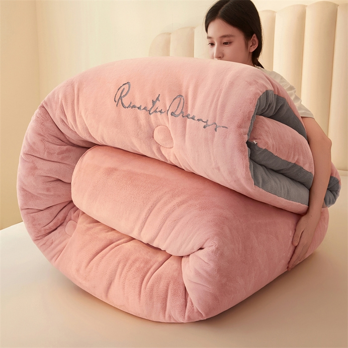 美梦里 2025新款拼色牛奶绒绣花冬被被子被芯 抱拍