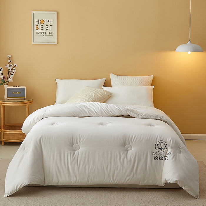 91家纺网 家纺一手货源 找家纺 （总）美丽折家纺 2025新款舒享新疆棉花被冬被春秋被被芯